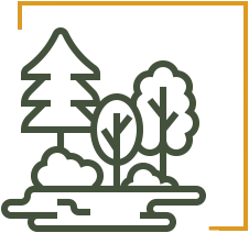 Otoczenie pełne zieleni